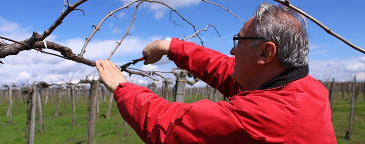 ‘I see big potential for these rare red varieties’